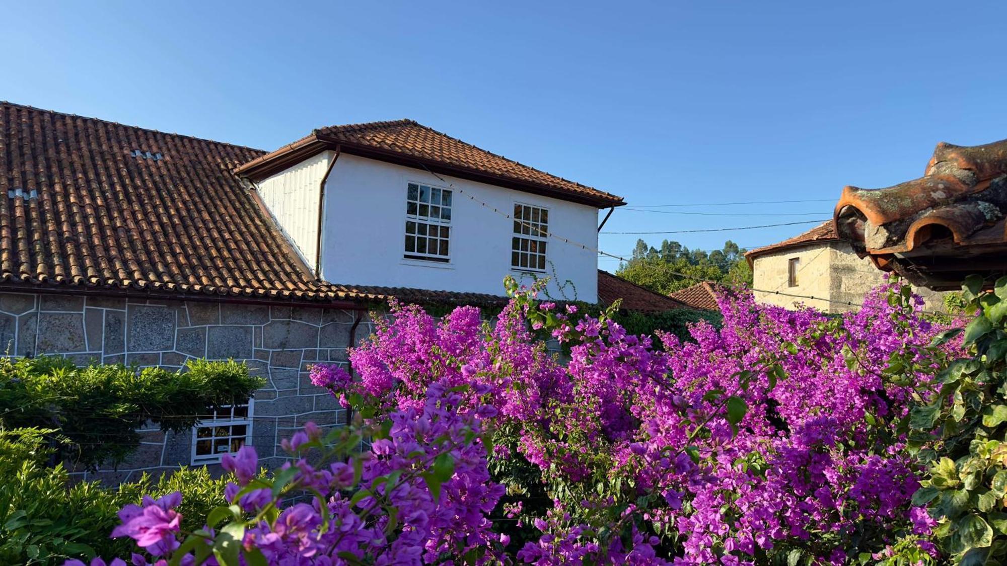 Casa De Cerqueda Apartment Celorico De Basto Luaran gambar